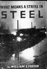 Дело 21. Брошюра У.Фостера "The prospect for a national steel strike"