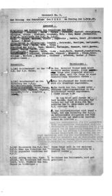 Дело 133. Протокол № 5 и стенограмма заседания Президиума ИККИ 1 февраля 1929 г. (1-й экз.)