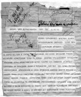 Дело 48. Телеграммы Ленину, в НКИД, в Сибирский ревком и доклад