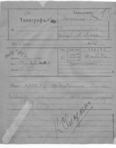 Дело 49. Телеграммы в Сибирскую миссию и уполномоченным НКИД (т.1)